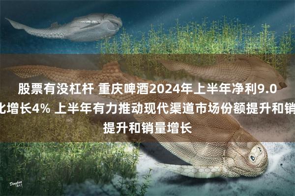 股票有没杠杆 重庆啤酒2024年上半年净利9.01亿同比增长4% 上半年有力推动现代渠道市场份额提升和销量增长