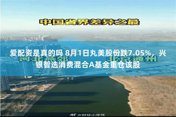 爱配资是真的吗 8月1日丸美股份跌7.05%，兴银智选消费混合A基金重仓该股