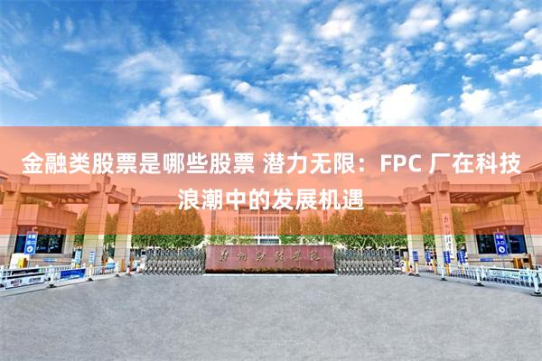 金融类股票是哪些股票 潜力无限：FPC 厂在科技浪潮中的发展机遇