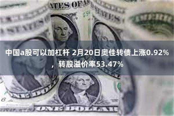 中国a股可以加杠杆 2月20日奥佳转债上涨0.92%，转股溢价率53.47%