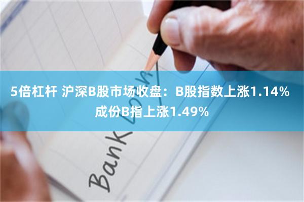 5倍杠杆 沪深B股市场收盘：B股指数上涨1.14% 成份B指上涨1.49%