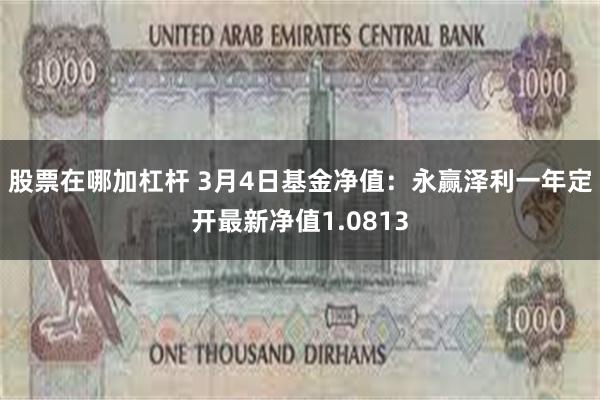 股票在哪加杠杆 3月4日基金净值：永赢泽利一年定开最新净值1.0813