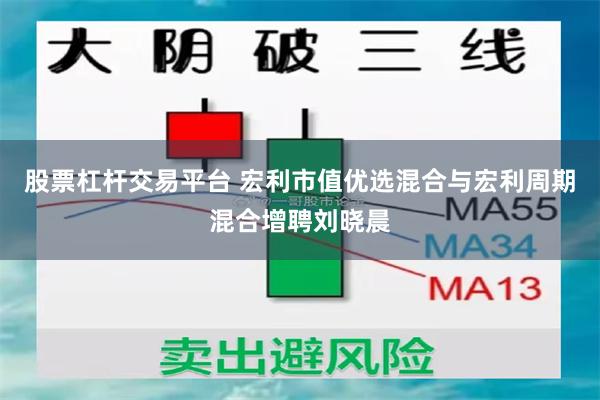 股票杠杆交易平台 宏利市值优选混合与宏利周期混合增聘刘晓晨