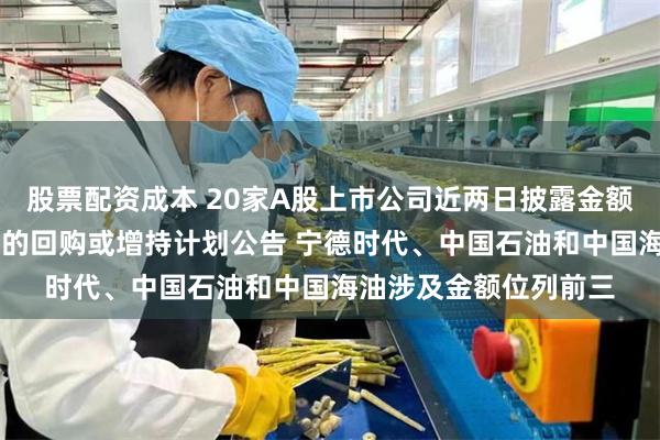 股票配资成本 20家A股上市公司近两日披露金额最高达10亿元及以上的回购或增持计划公告 宁德时代、中国石油和中国海油涉及金额位列前三